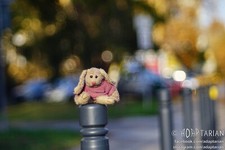 Voigtlander TALON 100/2.8