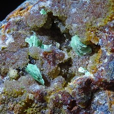 Meta-Torbernit/Zeunerit