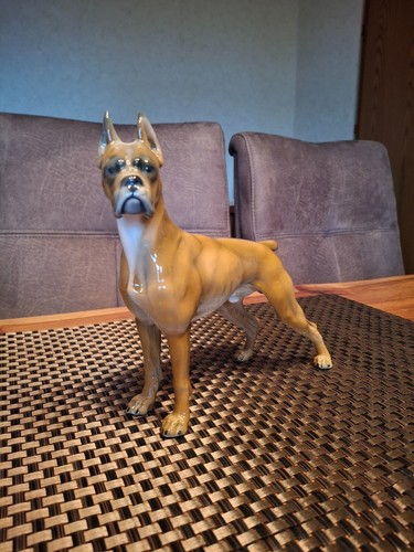 Rosenthal hund boxer - hund, |