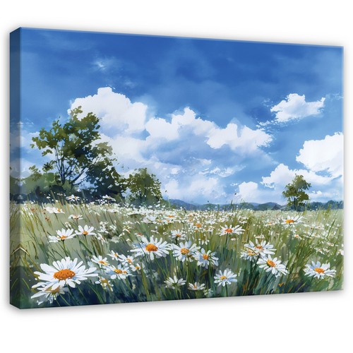 Leinwand feld natur blau grün - feld,