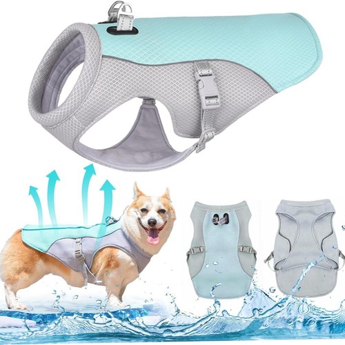 Sommer hund kühlweste - sommer,