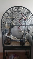 Vogelkäfig Voliere