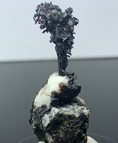 Silber gediegen baum - silber,