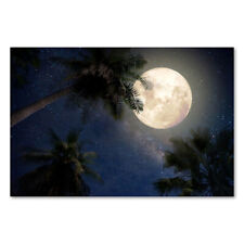 Postereck 2627 Poster Leinwand