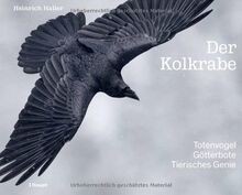 Der kolkrabe totenvogel - der, –