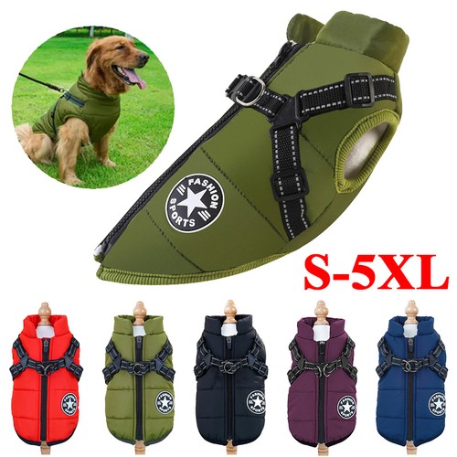Hundeweste hund winter warm - hund,
