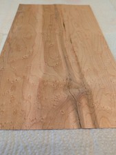 1 Blatt Ahorn Vogelaugen-Kern