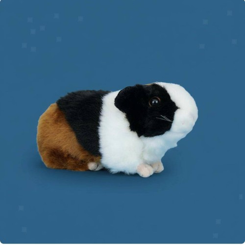Niedliches meerschweinchen - niedliches,