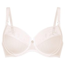 Rosa faia sita damen - damen,