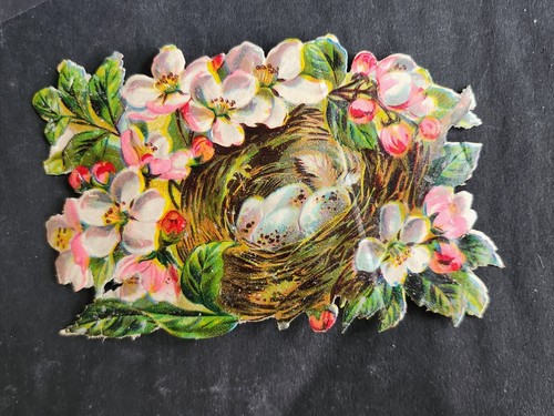 1900 vogelnest eier blüten - 1900,