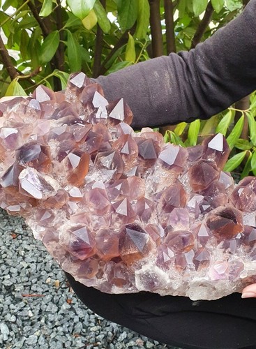 Amethyst stufe - ,