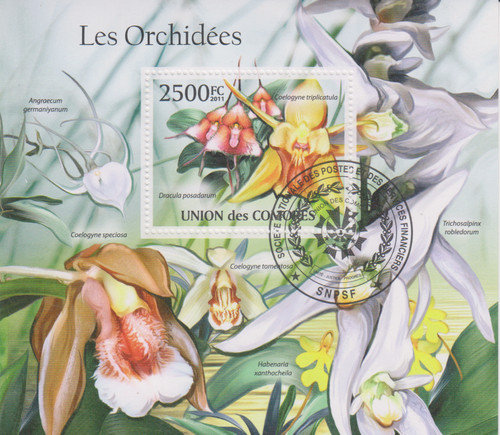 Blumen orchideen komoren - blumen,