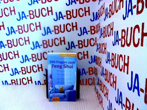 300 fragen zum feng shui - 300, (gu