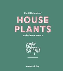 Little book house - book,