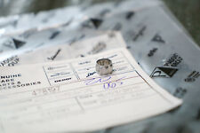 Piaggio TPH 50 C21 C29