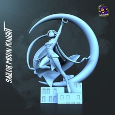 Sailor Moon Knight - Fan Art