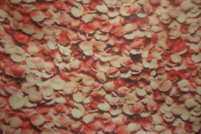 Baumwolljersey lachsrosa