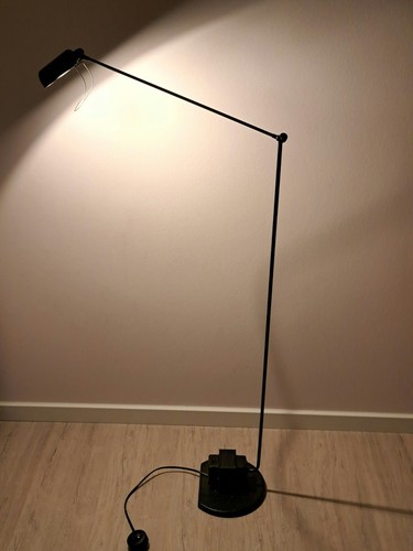 Original lumina daphine - lumina,