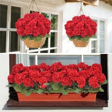 Kunstblumen 6 Stück