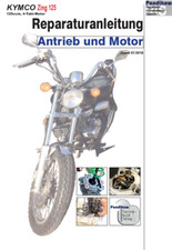 Reparaturanleitung RIS für