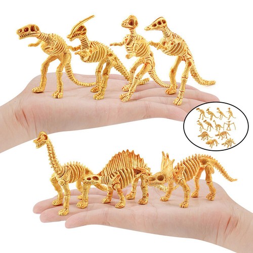 Dinosaurier-Skelett-Modelle
