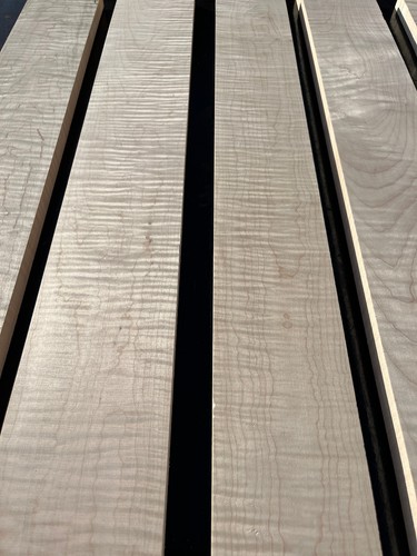 Curly tiger stripe maple - stripe,