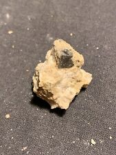 Kassiterit, Gilbertit, Grube Sauberg, Ehrenfriedersdorf, Erzgebirge, Sachsen