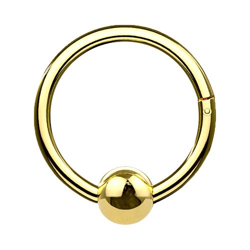 Septum nase ohr segment - septum, ring