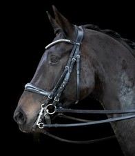 Schockemöhle SPORTS Kandarenzaum, Kandare " EQUITUS GAMMA "