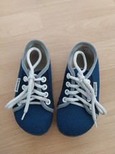 Leguano Leguanito Aktiv