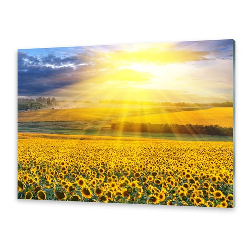 Glasbilder wandbild druck auf - wandbild,