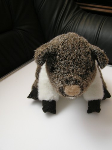 Plüschtier wildschwein - plüschtier,