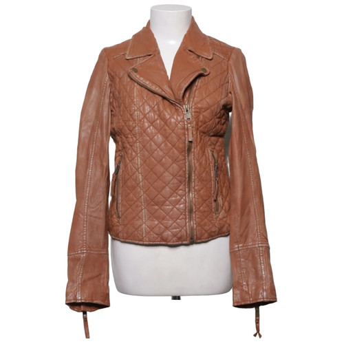 Review bikerjacke damen - review,, bikerjacke,