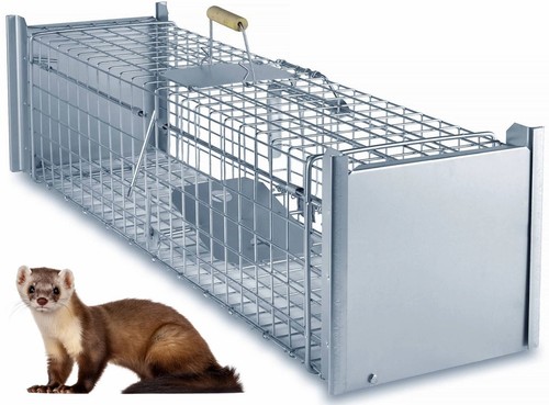 Fuchsfalle waschbärfalle - fuchsfalle,