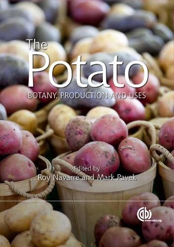 Potato roy navarre richard - potato,