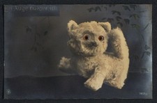 Glasaugen-AK Kuscheltier mit
