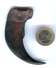 Bärenkralle XXL  Polyresin Indianer Bär Bearclaw Kralle naturgetreue Nachbildung