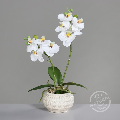 Künstliche orchidee real - orchidee,