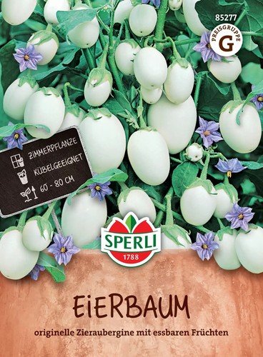 Sperli eierbaum blumensamen - sperli,