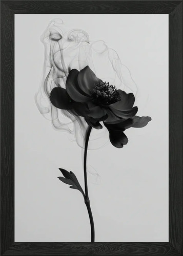 Monochrom blume gerahmt - monochrom,