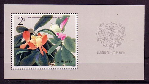 China michelnummer block - china,