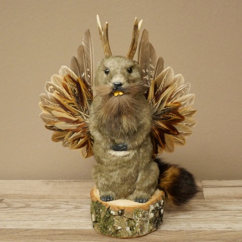 Wolpertinger murmel präparat - wolpertinger,