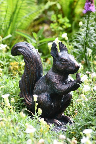 Rotes eichhörnchen garten - rotes,
