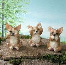 3 weisen Chihuahua Hunde