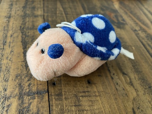 Steinbeck schnecke antonella - schnecke,