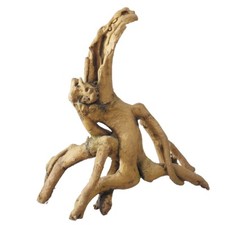 Root Mangrove Wurzel - Aqua