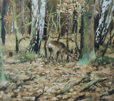 Rehbock Rehwild Kunstdruck  42 x 37 cm Jagdmalerei Jagdbild von Rudolf Michalski