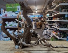 Dunkles Moor Wurzelholz