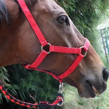 Geflochtene Pferdeleine