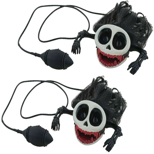 Schwarze springende spinne - schwarze,